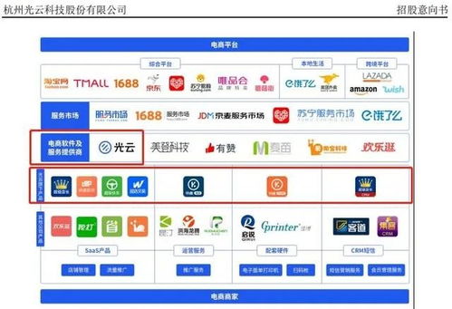 從“阿里系光環”到“全域賽道” SaaS第一股光云科技如何打破成長天花板？